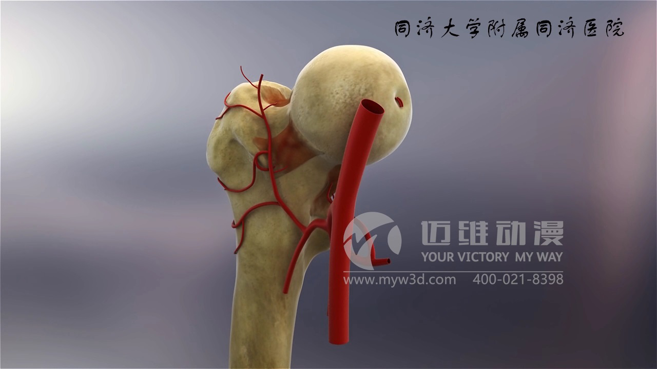 醫(yī)學(xué)仿真三維動畫演示 醫(yī)學(xué)仿真三維動畫演示