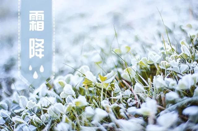 邁維動漫公司新聞 邁維動漫公司新聞