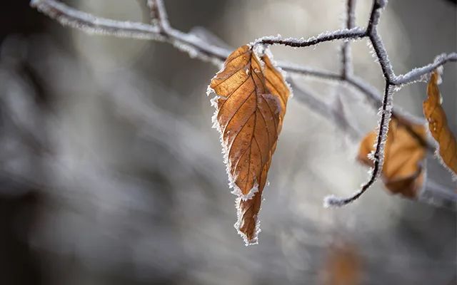 邁維動漫公司新聞 邁維動漫公司新聞