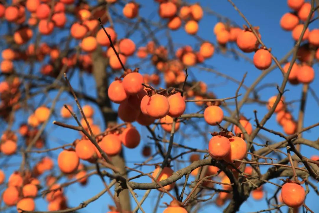 邁維動漫公司新聞 邁維動漫公司新聞