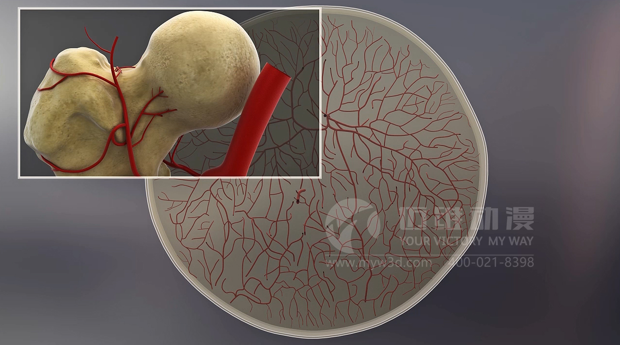 醫(yī)療醫(yī)學三維動畫.jpg 醫(yī)療醫(yī)學三維動畫.jpg