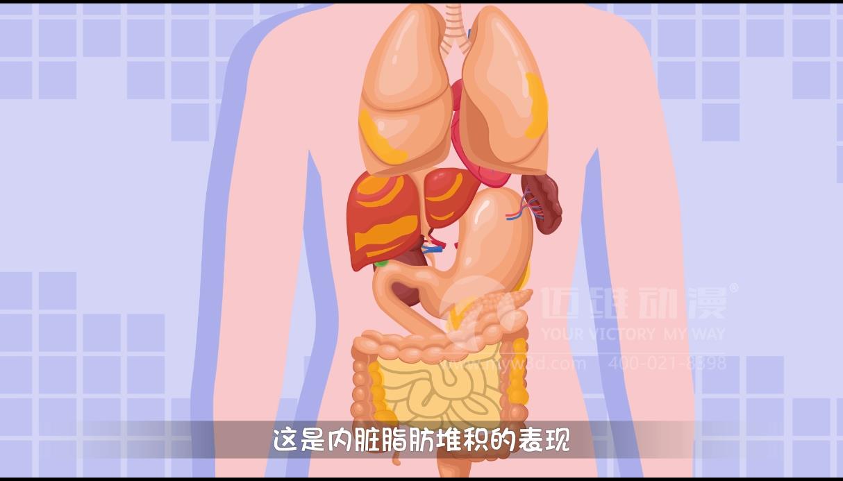 mg科普動畫制作.jpg mg科普動畫制作.jpg