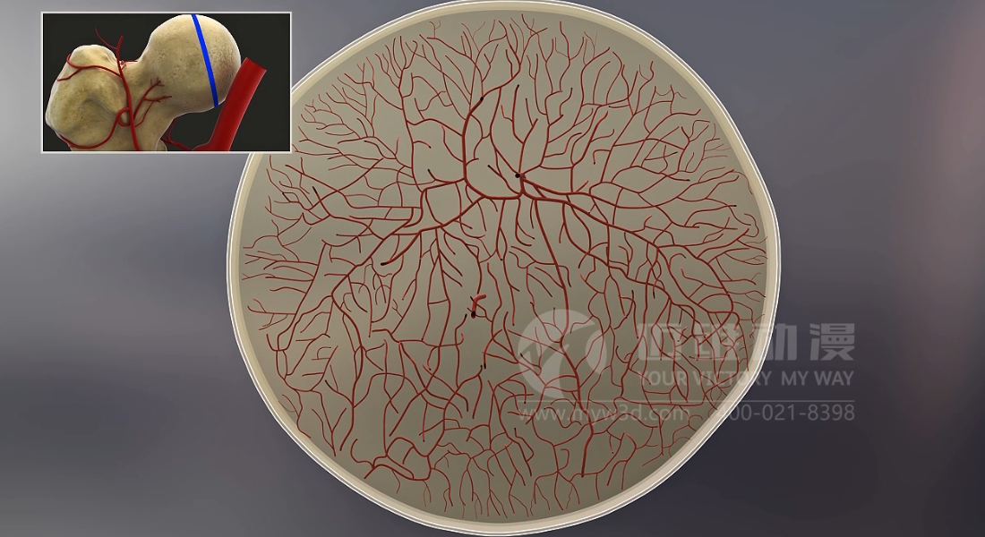 常見的三維動畫類型有哪些?(圖3) 常見的三維動畫類型有哪些?(圖3)