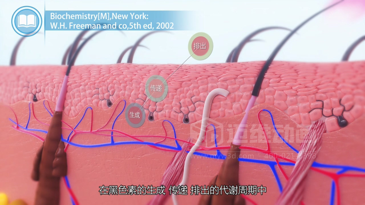 醫(yī)學(xué)科普從來不是 “天書”：三維動(dòng)畫讓復(fù)雜科學(xué)原理輕松 get！(圖4)